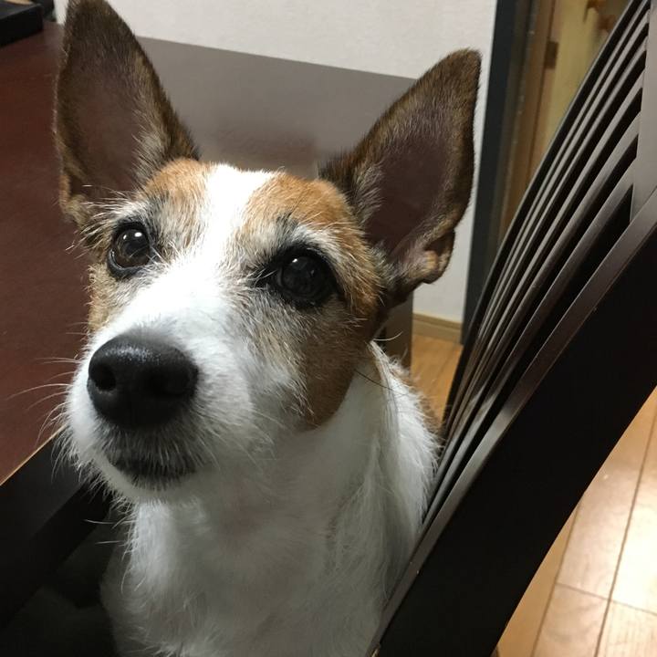 990fab11 5c7b 45d6 a50d ea761064ca9a 1567728757789