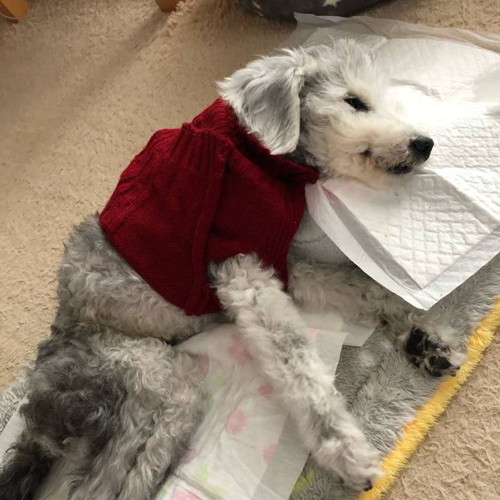 990fb88e dab3 47de b290 81a1906d2d70 1670022868819