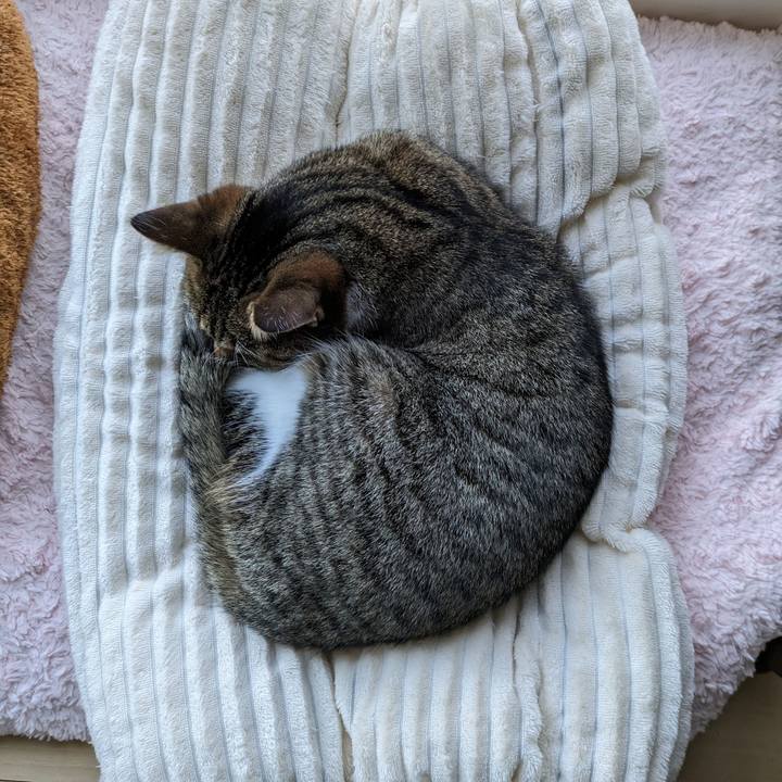 99105327 ec24 479a 9659 70b6f3b7f000 1697958380485