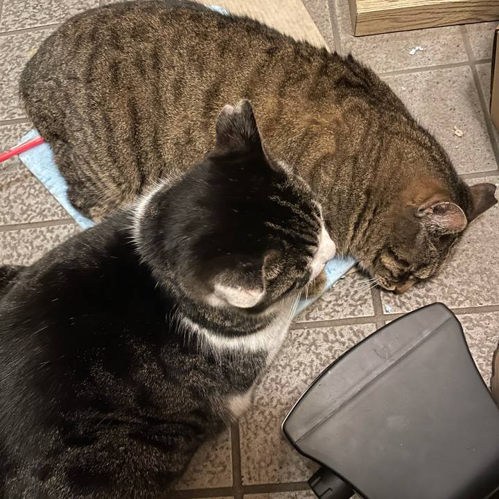 99105dda 8b45 4bf3 8c29 3bada899002f 1611568638704