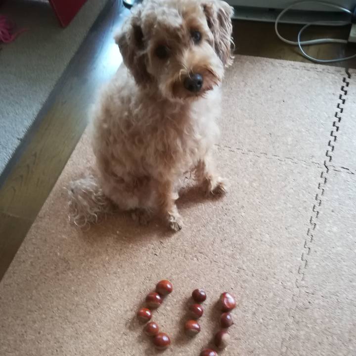 99109140 347f 427a 9020 8800cb68f476 1537660775818