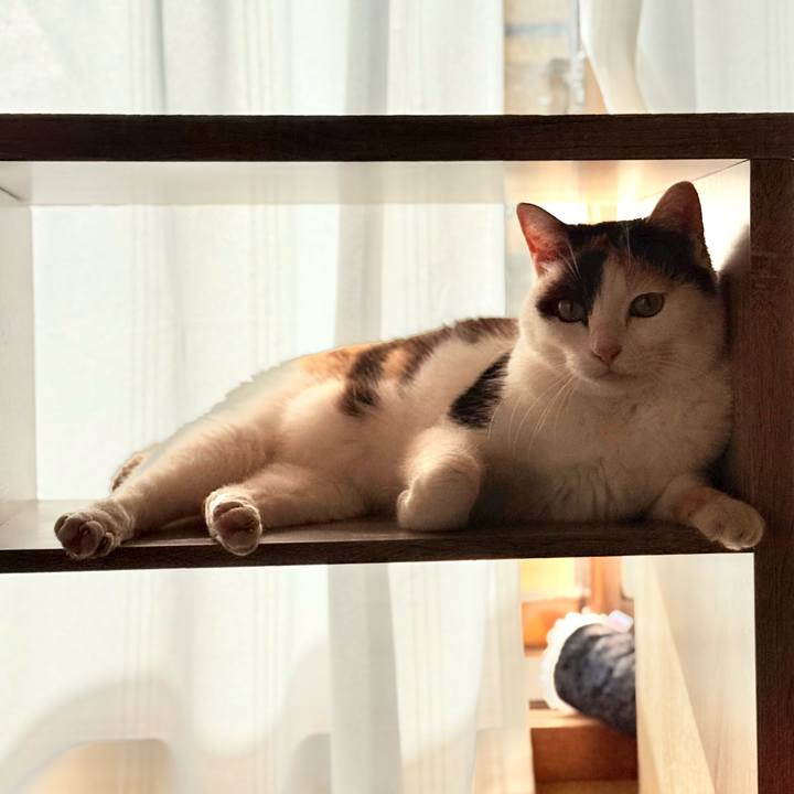 991094c4 eb10 40a5 a25b 9add84c65329 1741746976064