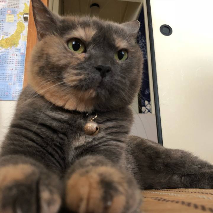 9910acac 68b1 4e94 8bf9 36c11b7bf6c4 1529828850770