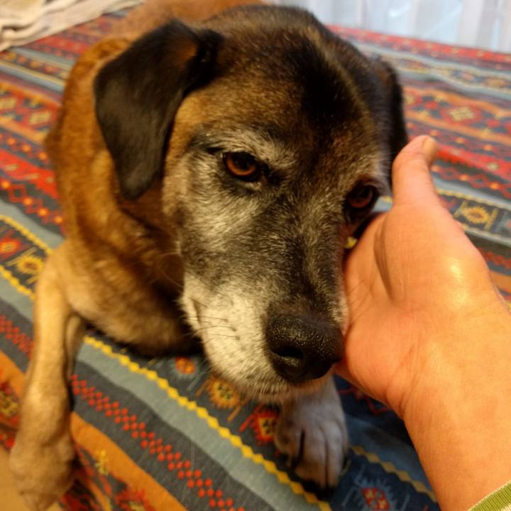 9910cbd9 47da 455e a4a4 6ee524733642 1699663415316