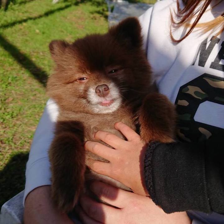 9910f603 e8b8 480b ac64 2e38a72c10d1 1540940306074