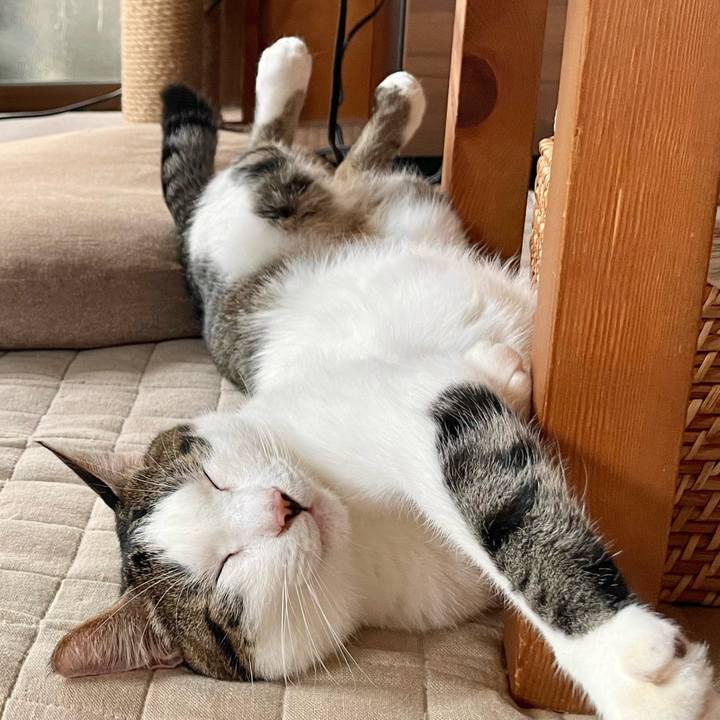 9911655c c412 449b ad8b e726abc09259 1763523322331