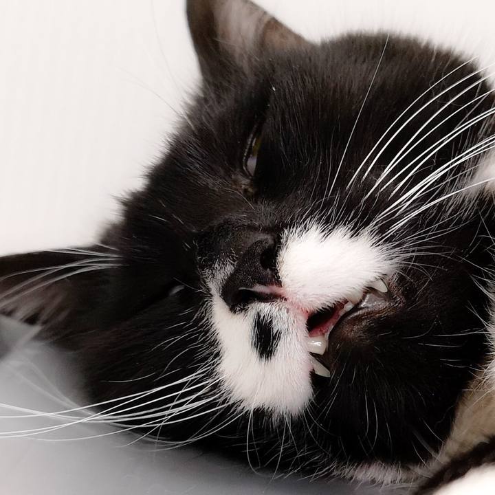 99118532 a1b9 409e a7ca 8f22eb21a691 1556297166875