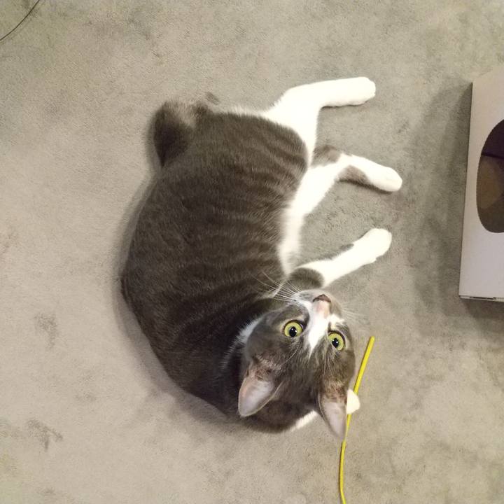 9911911b a64a 45dc 9419 42f6d9724f48 1602114485565