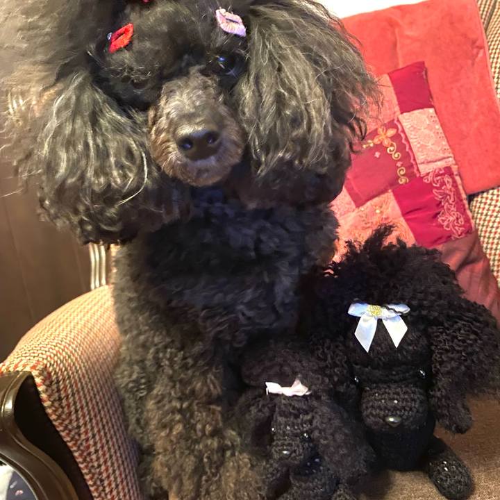 9911915e af56 4dab bf1d 3076e4872125 1654617538731