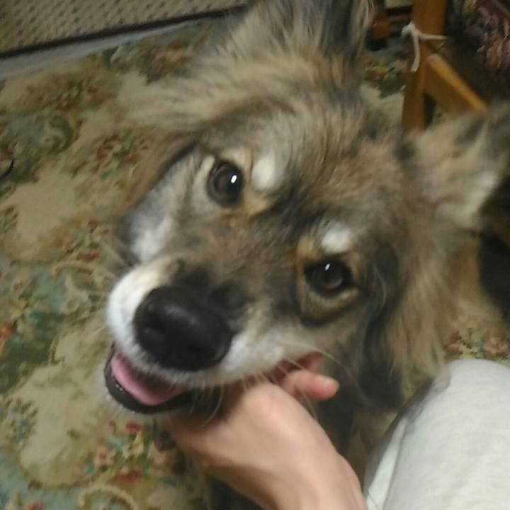 9911e235 8054 45da a327 bd083cb2454c 1512101060234