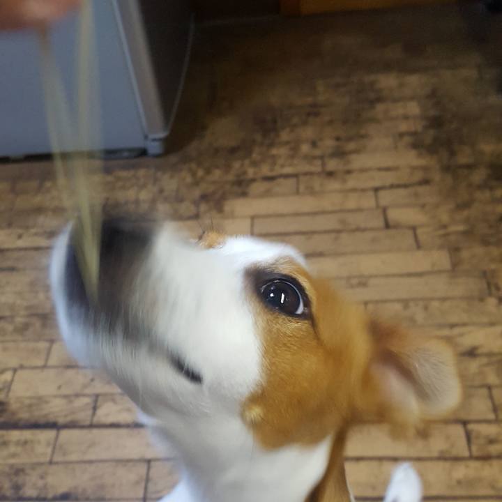 991213dc 8726 4041 aea7 772659c3080d 1558410813725