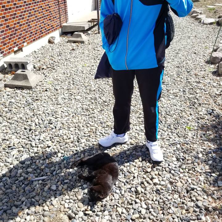 99122ff8 5d73 4a45 9af1 e7b7884eb634 1681522952495