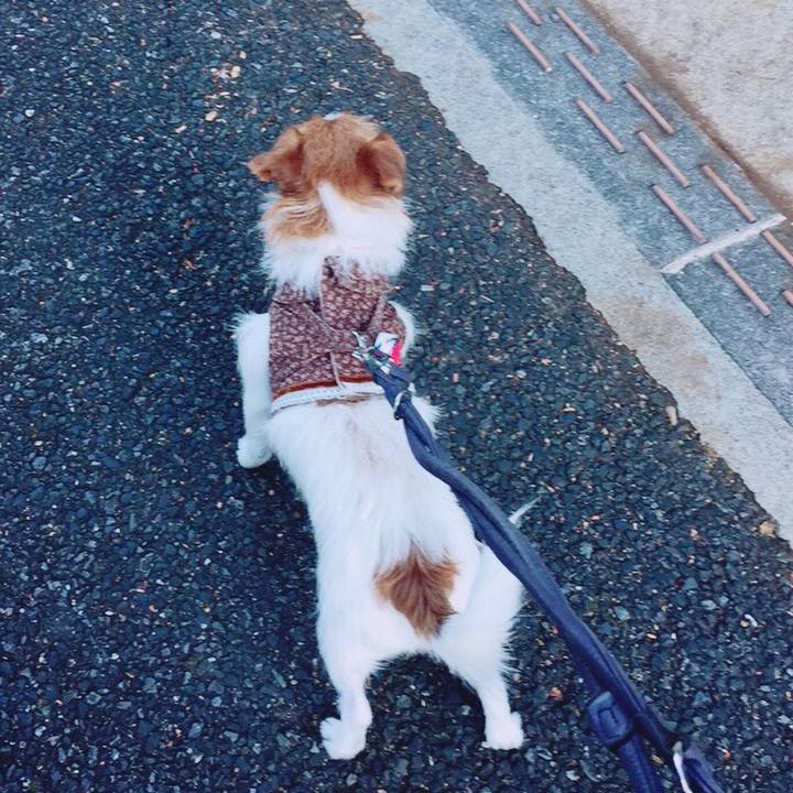 9912301f a45d 4d30 9bfc a0ffb683378a 1509866757674