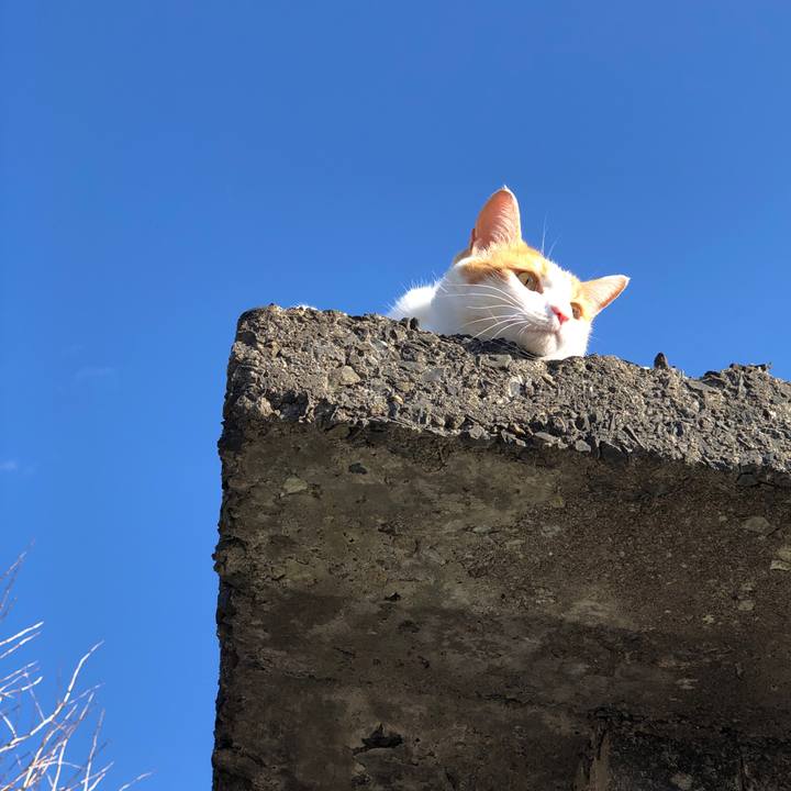 99125445 e1e7 42ff 81d5 65b6fb3ad796 1546246683518