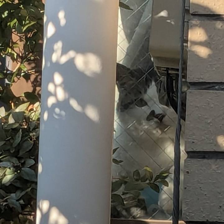 99126e98 97a1 420c b4f5 957f2c346e17 1768629726944