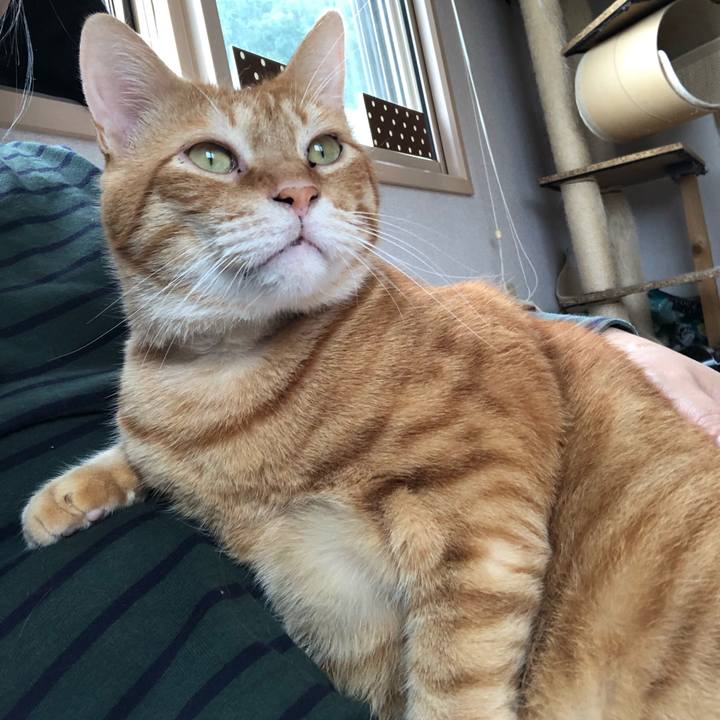 99129120 9b17 4b13 a8e7 8ac7a5cf080d 1561785875099