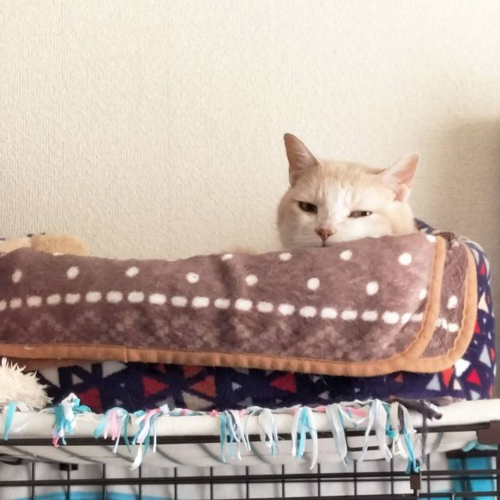 9912b6c5 33ed 4069 b65a 013ad5c39f9f 1678573509668