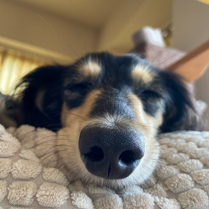 9912d742 89eb 4731 baff fb4957c46f2f 1742862993733