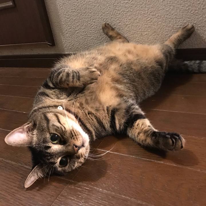 99130013 7867 4ca1 b869 28646f45ebd5 1561035835302