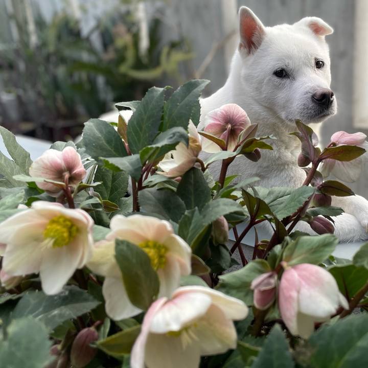 99130eb6 18f3 44e2 9850 2acc897f90ae 1739535097543