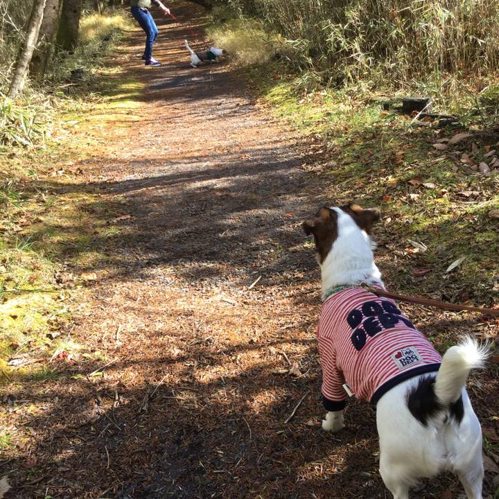 99134133 a5bf 4229 95fa 23d8110b71f2 1510458832194