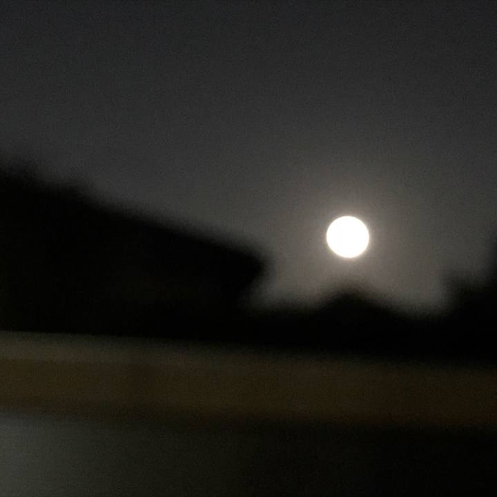 9913414a 6840 4b22 ba89 806148614823 1540461671149