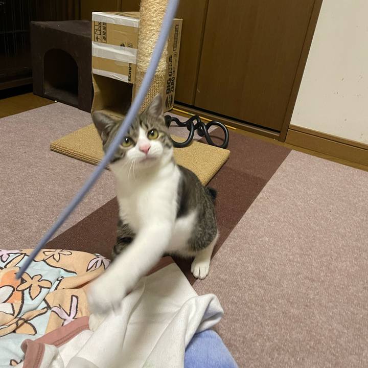 99136db7 096c 43d0 baf7 778f097bac58 1730806637546