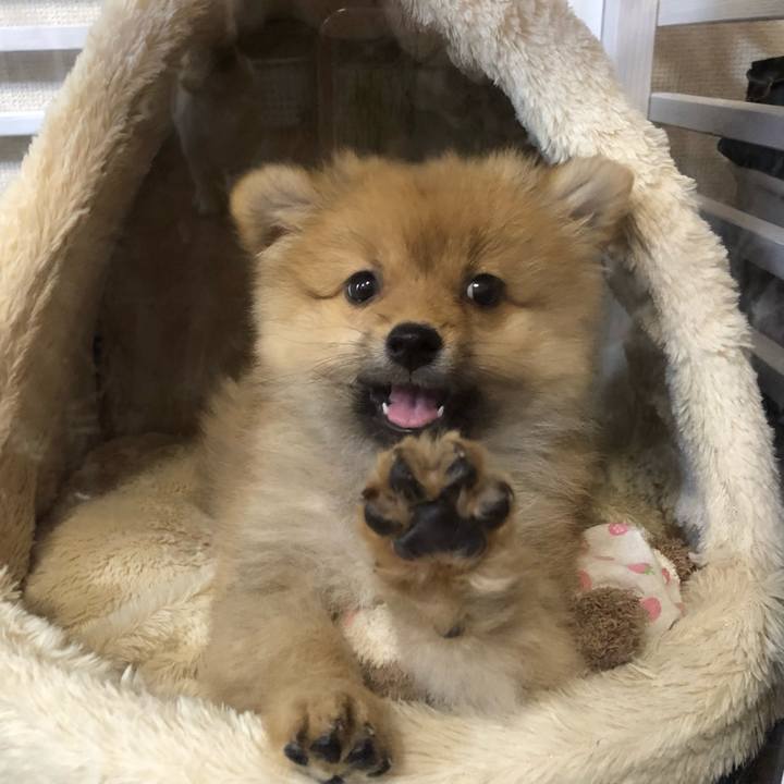 9913fd2e b3e9 45f8 ac96 7d2f678f223f 1574681557272