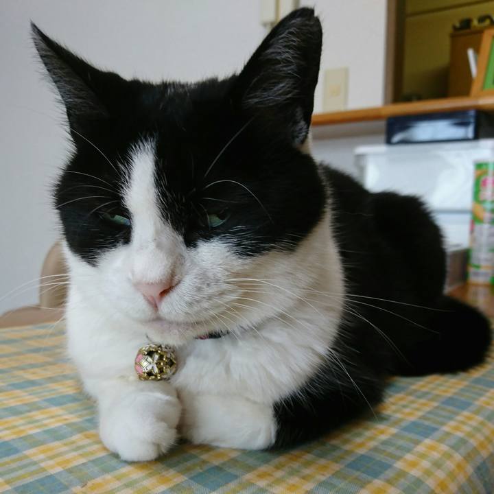 99140389 e480 423c be2a abe7f26aae46 1564744975109