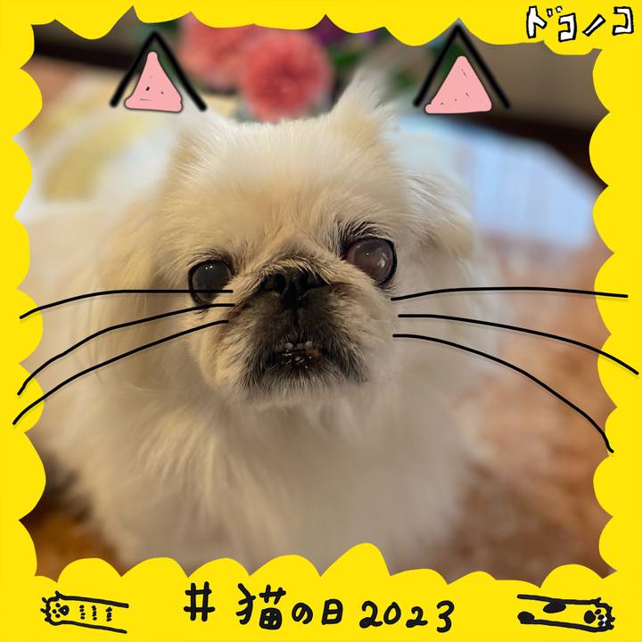 9914555e f33d 417b a39e 58b8f3d8057e 1677010945328