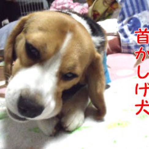 99147e33 2a0e 4c32 86c9 ba7a0fc801eb 1713405944684