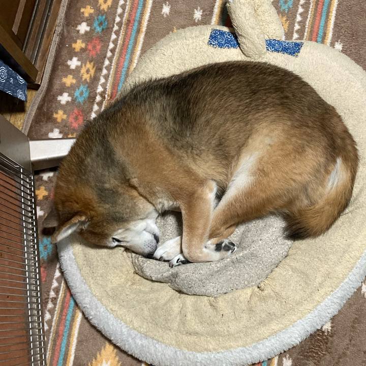 9914c30f 901b 4f44 b153 070d585b96d6 1733402581335