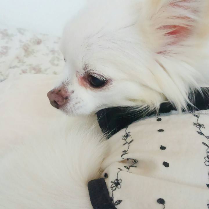 9914c86c faa3 4ccb b361 1adeefe59765 1524893802531