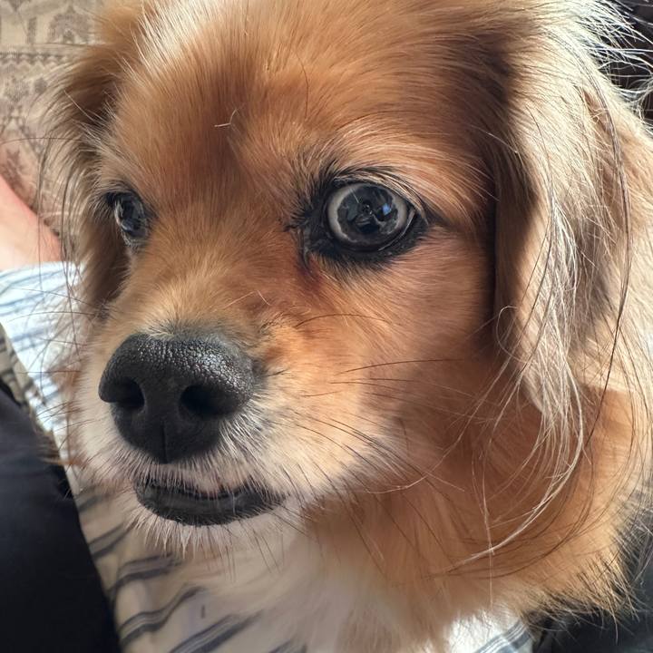 9914db34 0230 4923 903f 1a3bfb89a5de 1732050679752