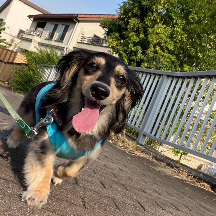 991505c2 5b16 45e8 9d35 6f8247dff0e9 1755930068700