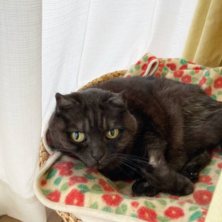 991540c8 4ee4 40dd 93e7 54c7917520c0 1618319880593