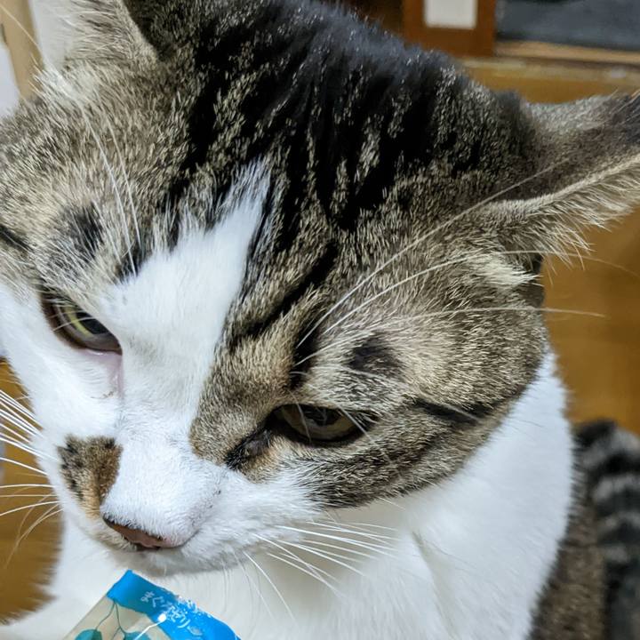 99156f62 07c9 4306 99d2 19fdecf71ee2 1669460781325