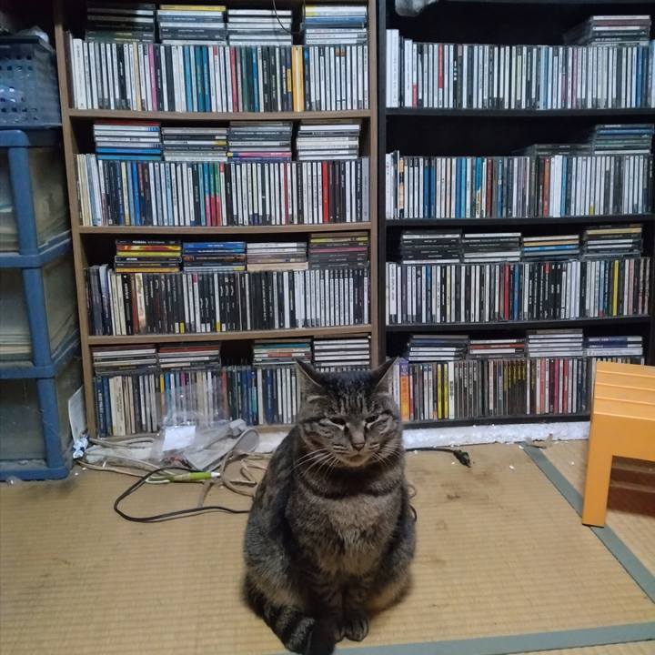 99157d57 98ba 43c8 bb2c f0cdc936deef 1738142342525