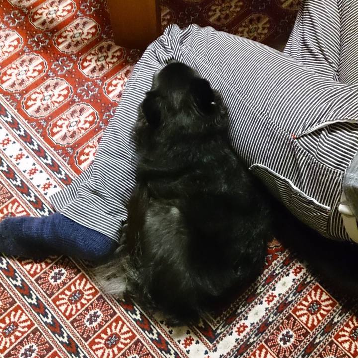 9915b301 74c2 4af0 bf1c a951346285d9 1750551657493