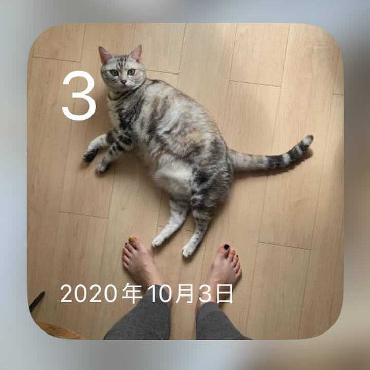 9915bb08 77c1 4b0b b302 995cb118e7f1 1759485502216