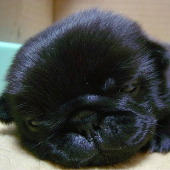 9915bc09 9dd1 413b b0f5 a6e1203d1cb1 1573047045250