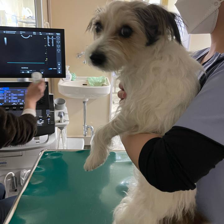 9915cdce 2861 44a8 87d6 83bc7523a9bf 1764944538974