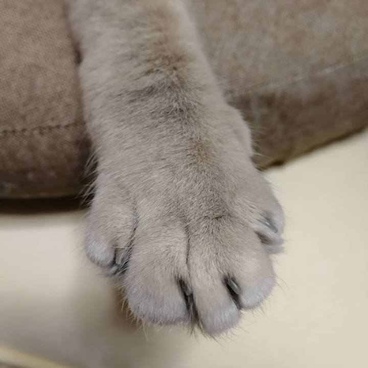 9915cf46 de33 49d4 82d1 d888a6b5c806 1549591510409