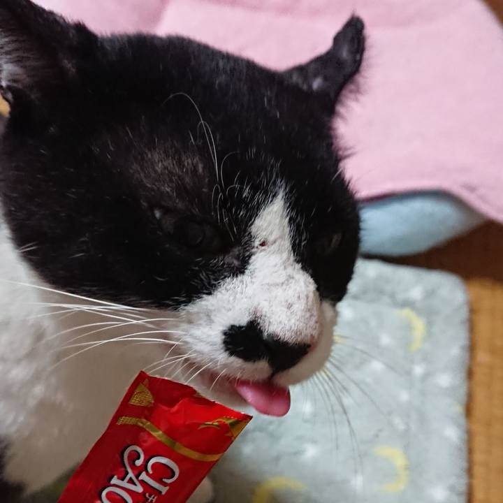 9915d3f6 ed96 4907 8d34 c18372652fb7 1539693616074