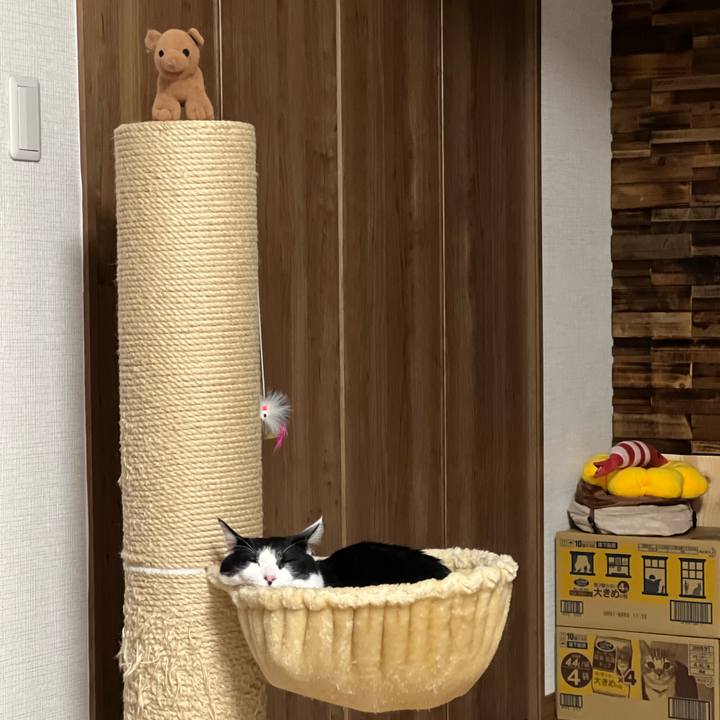 9915d74d cea7 49a9 9811 31cfec3015e6 1691235550923