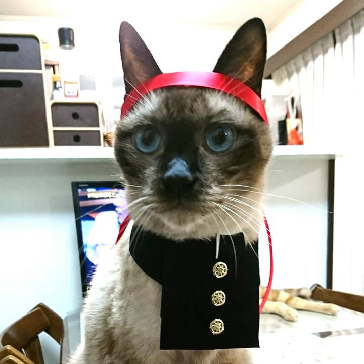 9915fb2a 4fb0 454f b4b6 fa643719552f 1544356790361