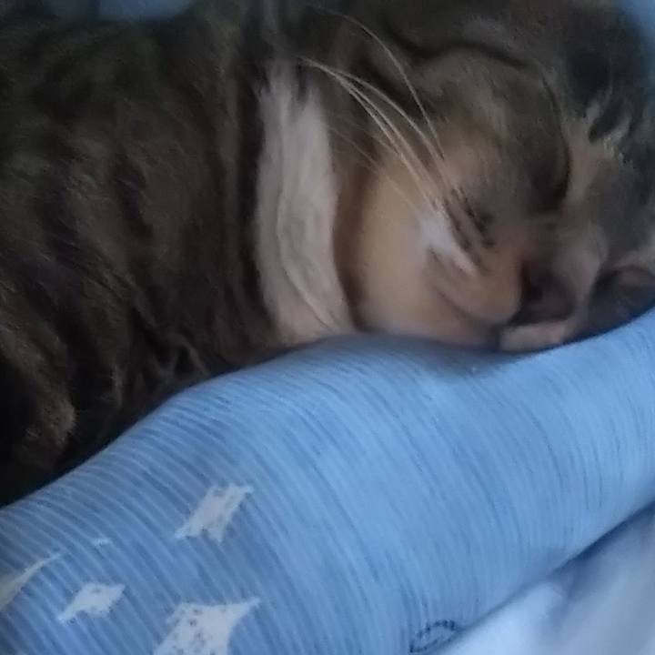 991637b4 5f60 44d5 900d 372d0fdd9cd3 1627333480526