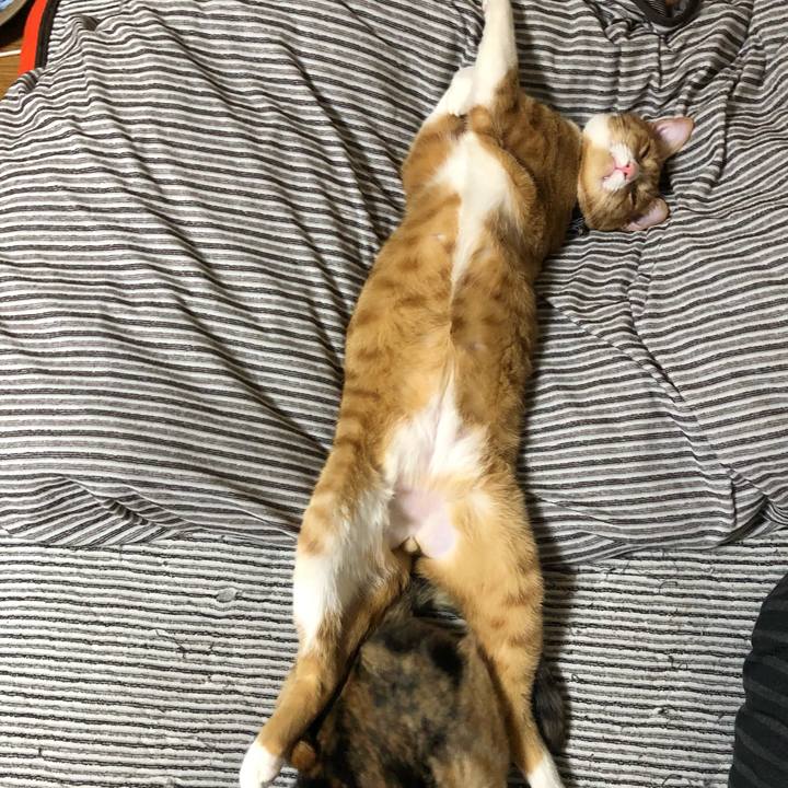 99164a78 b460 46c5 8ec9 62f2826efc42 1559616651924