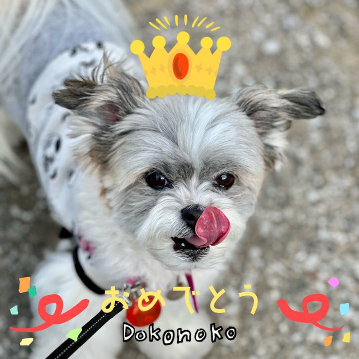 99165b92 f878 498f 8a6f 861495cda584 1685963564792