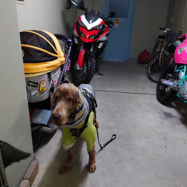 991662b3 e8ab 4653 aa38 e612d77c6425 1705057686210